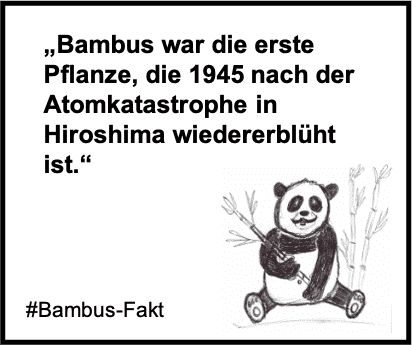 Bambus war die erste Pflanze, die 1945 nach der Atomkatastrophe in Hiroshima wiedererblüht ist.